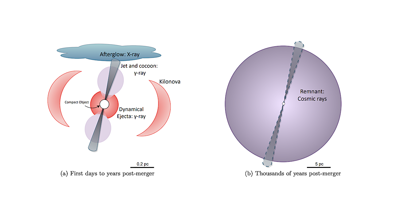 Schematic diagrams highlighting the interesting components of emission from a binary neutron star merger at two different temporal and spatial scales. In (a), the system is shown at sub-parsec scales and within the first few years after the merger. The locations of gamma-ray emission in the dynamical ejecta and the cocoon surrounding the jet are highlighted, as well as the X-ray emission from the interaction between the jet and the interstellar medium (ISM). While the jet and cocoon emission are short-lived, the afterglow produces continuum emission for many years. Only the emitted X-rays produce the fluence that could be lethal. The kilonova, i.e., the UV/optical/IR emission powered by radioactivity in the ejecta, is also shown for additional context, but is undetectable after a week. In (b), the larger, late-time structure of the remnant is shown with the long-since dissipated jet location indicated. The explosion from the merger will launch a strong shock that sweeps out a bubble-like structure as it expands through the ISM, which is a source of potentially threatening cosmic rays. -- astro-ph.HE