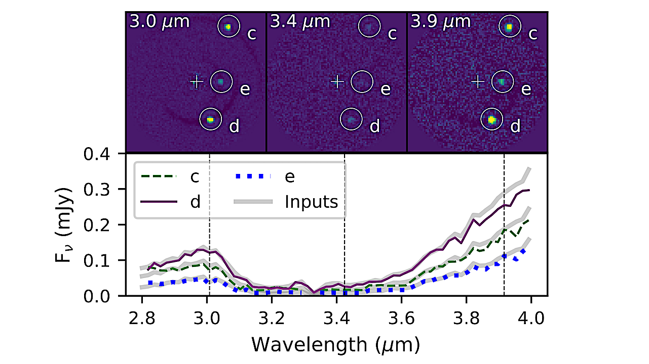 Example simulated SCALES L band observations of an HR 8799 analog, with three planets having effective temperatures between 900 K and 1100 K and radii of 1 RJ. Top panels show ADI-processed slices from a low-resolution L band mock observation of a system of exoplanets similar to HR 8799. The bottom panel shows the recovered spectra for the three injected planets (green, purple, blue lines) plotted over the injected spectra (grey lines). The vertical lines in the bottom panel indicate the wavelengths of the three images in the top panels. The simulated observations assumed one hour of total integration time spread over ∼ 80◦ of parallactic angle evolution. -- astro-ph.IM