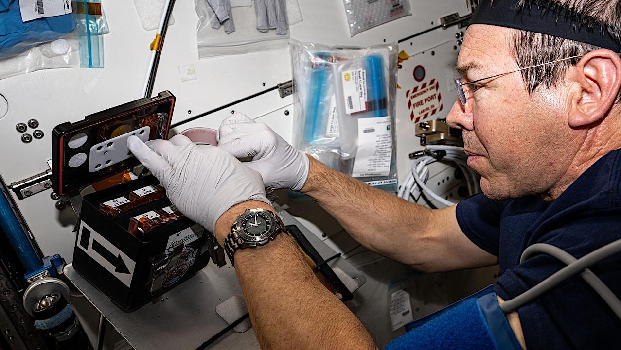 Offworld Biology Laboratory Sample Processing --- NASA