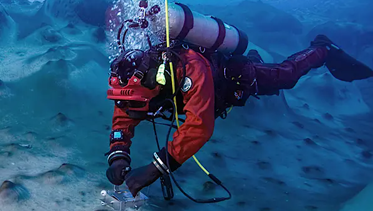 Dale Andersen during a dive in Antarctica -- Dale Andersen