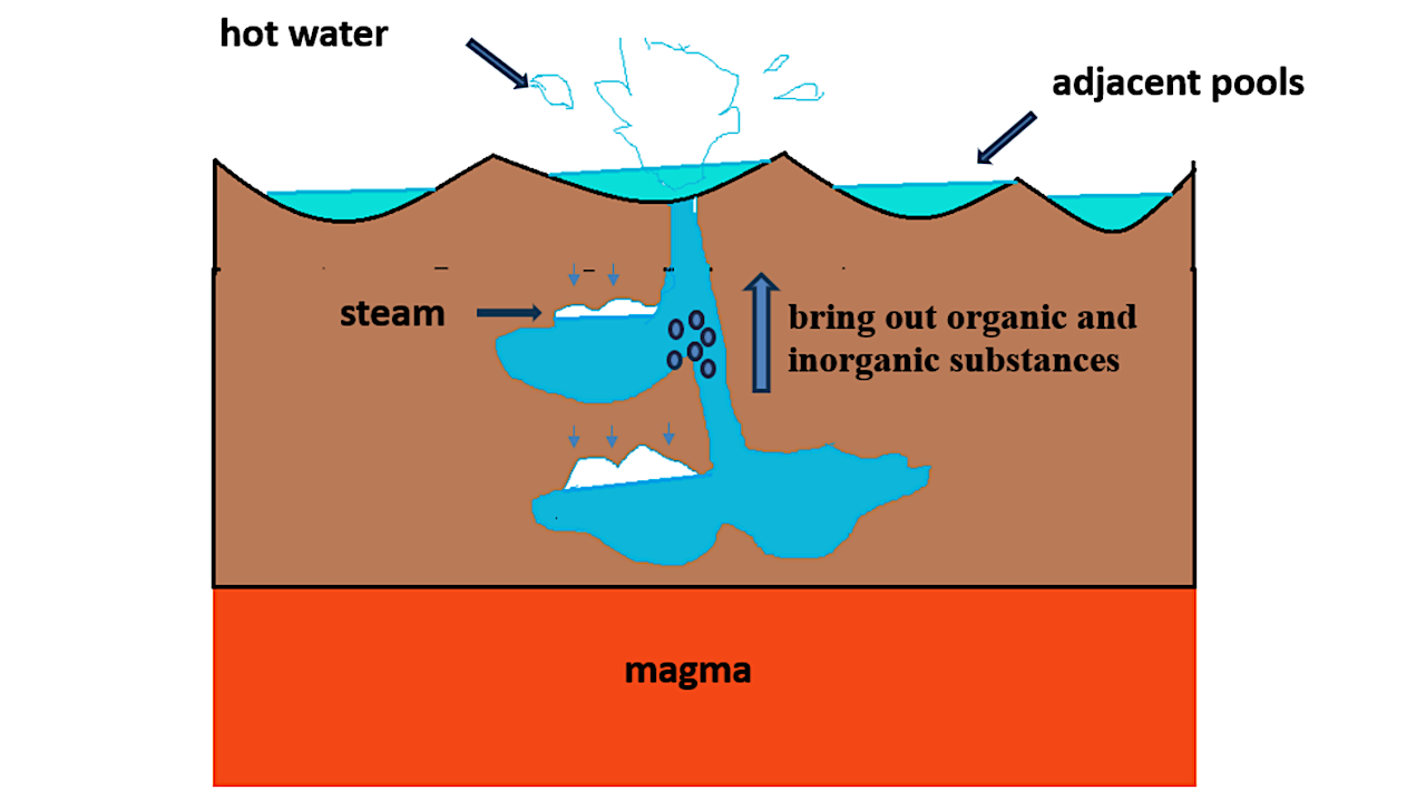 The most likely place for the origin of life is a geyser that erupts with a suitable period. -- q-bio.MN