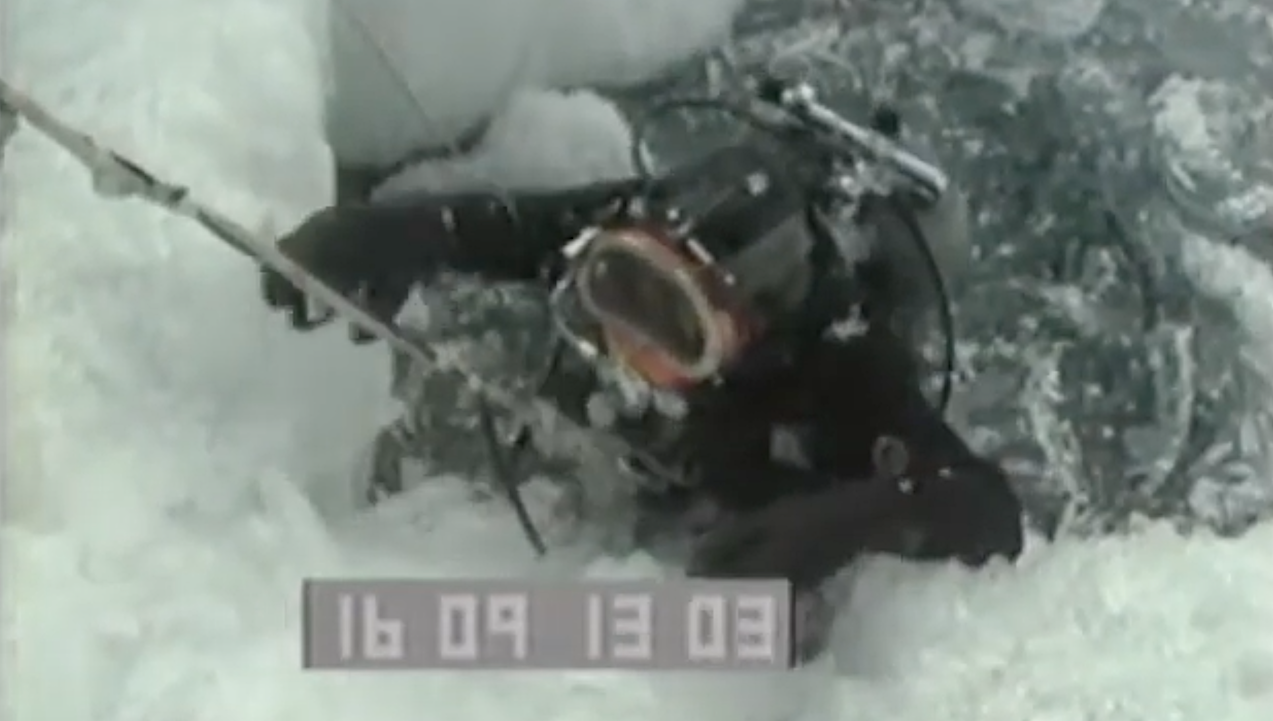 Dale Andersen Getting Out of the water in Antarctica -- Dale Andersen