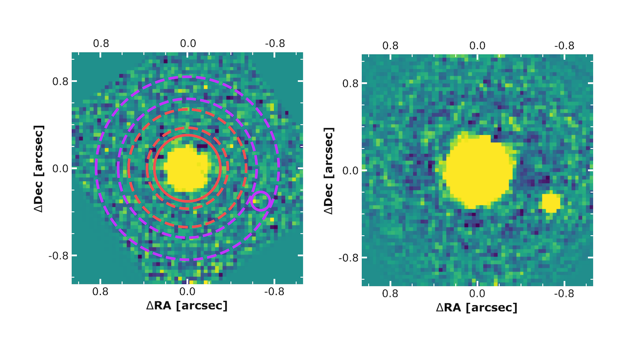 Left panel: A single frame of data from the 3.69 μm wavelength channel, overplotted with the apertures and annuli used to obtain flux and background measurements for the host star HD 1160 A (in orange) and companion HD 1160 B (in purple). The dashed lines indicate the background annuli. Each image uses a different arbitrary logarithmic colour scale, and both are north-aligned, where north is up and east is to the left. Right panel: the final LBT/ALES+dgvAPP360 image of the HD 1160 system from the second night, produced by taking the median combination of all frames in the 3.59-3.99 μm range over both time and wavelength. This image covers a total integration time of 10800 s (3 h). -- astro-ph.SR