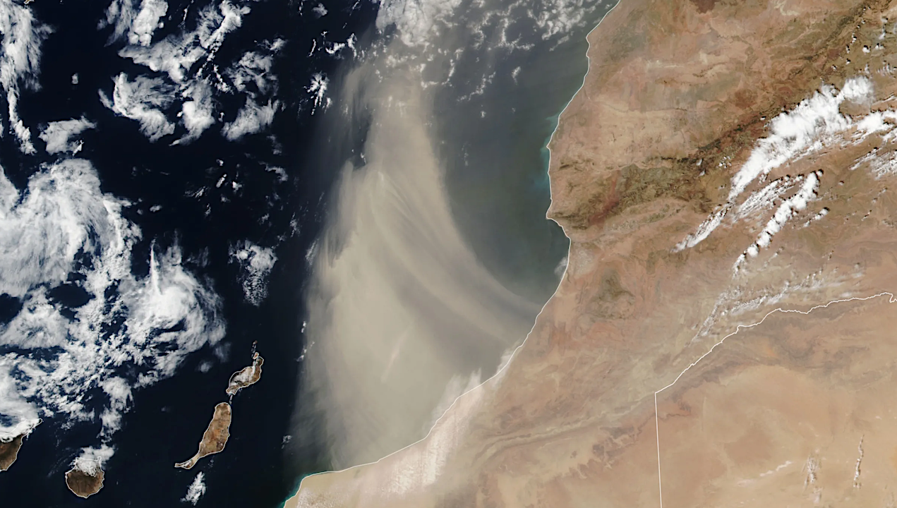 NASA Earth Observatory image by Lauren Dauphin, using VIIRS data from NASA EOSDIS LANCE, GIBS/Worldview, and the Suomi National Polar-orbiting Partnership The Suomi NPP satellite acquired this image of a plume of Saharan dust as winds lofted it over the Atlantic Ocean on Aug. 24, 2024. Larger image