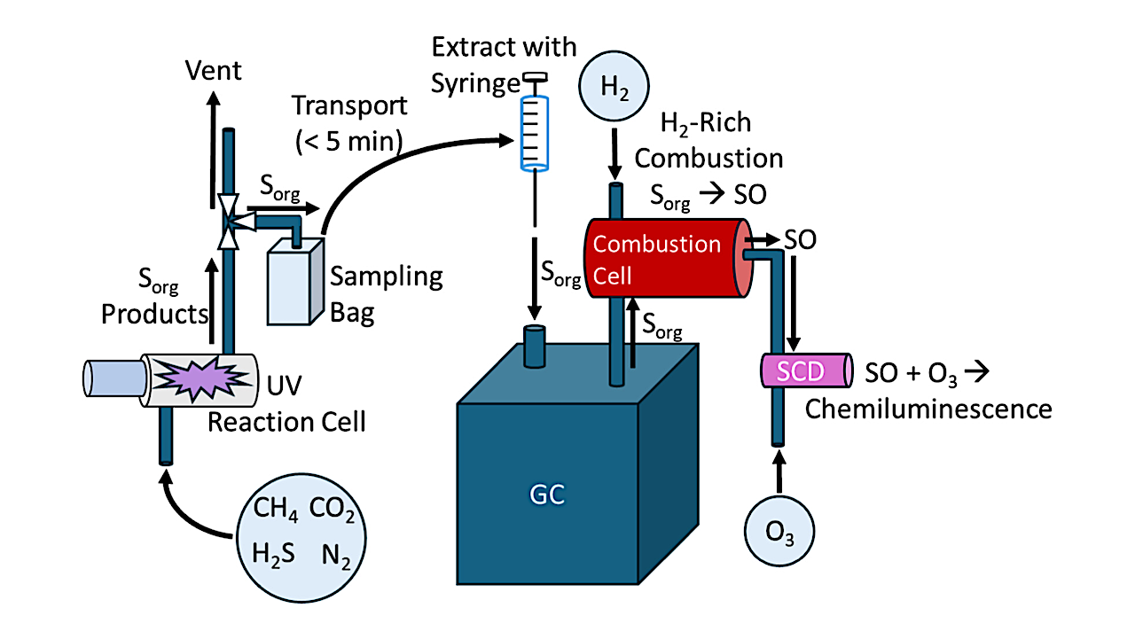 Illustration of the general methodology. "Sorg" is for "organosulfur gases," "GC" is for "gas chromatograph," and "SCD" is for "sulfur chemiluminescence detection." -- University of Colorado Boulder