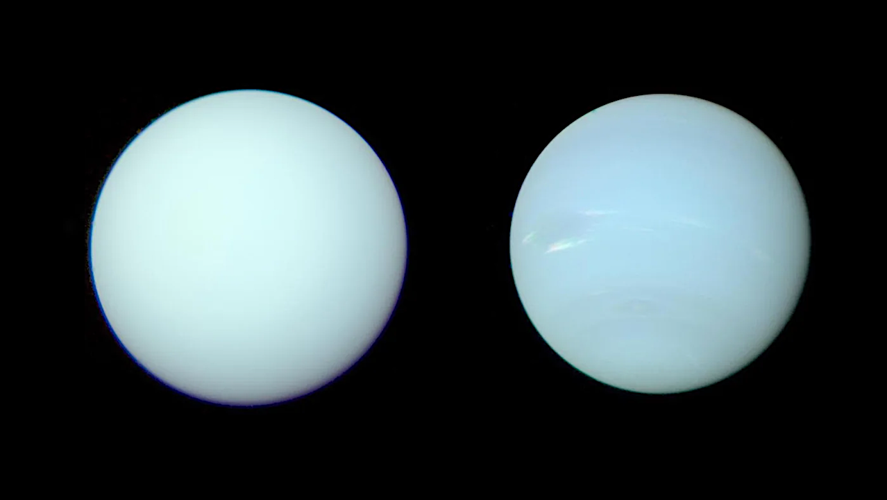 Reprocessed images show the true colors of Uranus (left) and Neptune. — University of Oxford