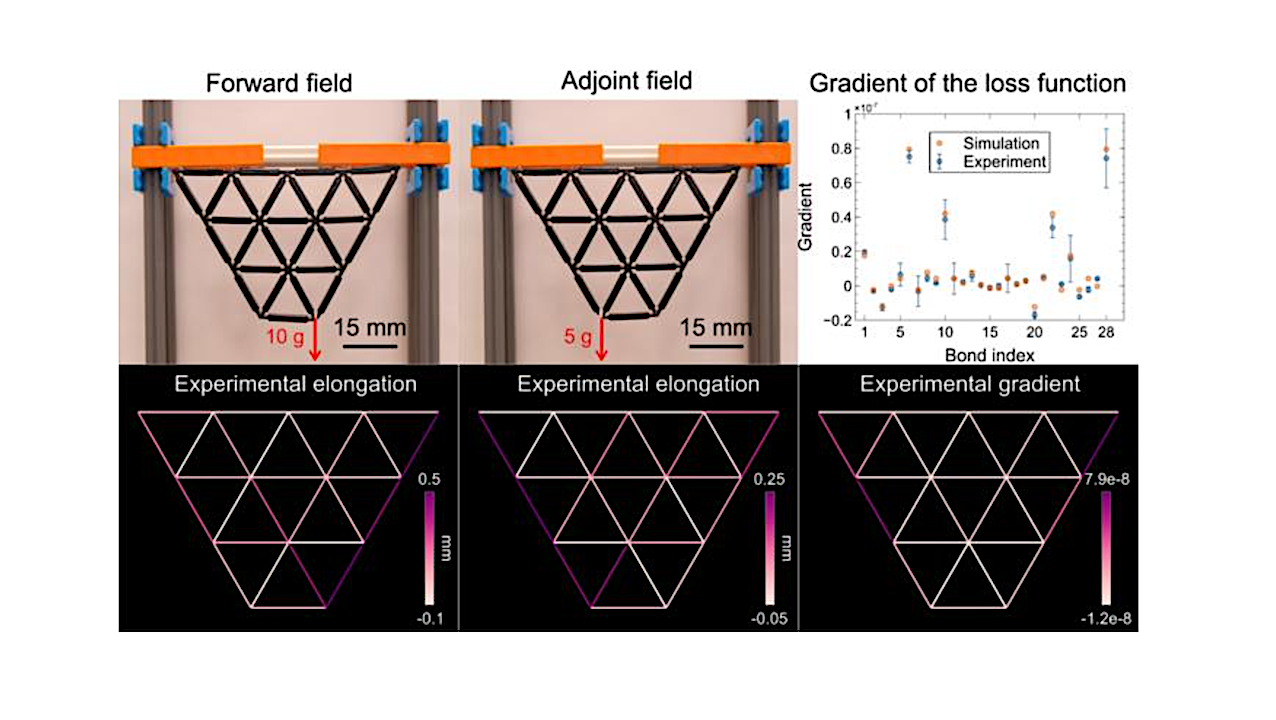 Obtaining the gradient of what's known as the loss function is an essential step to establish the backpropagation algorithm developed by University of Michigan researchers to train a material. The researchers showed the gradient could be found experimentally using a 3D-printed model of a mechanical neural network. Credit S. Li and X. Mao, Nat. Commun. 2024, DOI: 10.1038/s41467-024-54849-z)