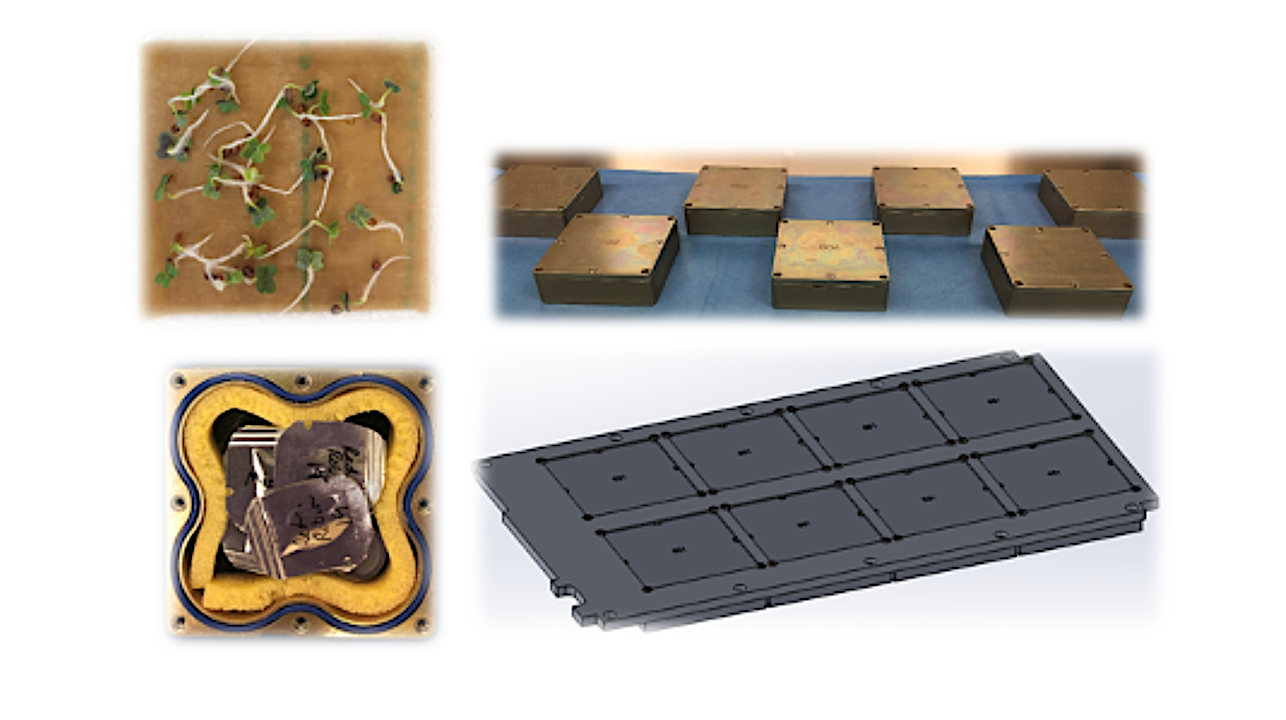Upper left: Example of germination test prior to MISSE-Seed science integration; Lower left: Seed packets in the EUE container; Upper right: MISSE-Seed sample containers ready for turnover; and Lower right: the MISSE panel that will be deployed outside the ISS. -- NASA