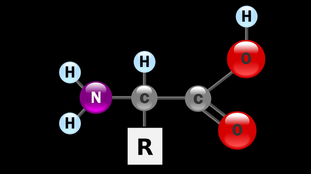 Amino Acid structure -- Wikipedia