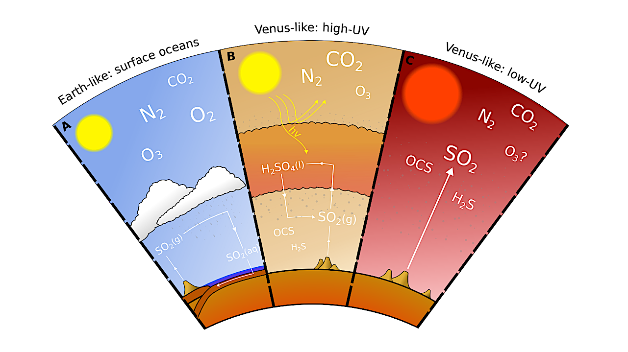 Cartoon depiction of the sulfur-cycle in different planetary regimes. In the Earthlike case (A), atmospheric SO2 is scrubbed from the atmosphere by wet deposition (19). In the Venus-like case with high-UV irradiation (B), for example irradiation by the Sun, SO2 can be abundant in the deep atmosphere, however in the upper atmosphere SO2 is efficiently catalysed into H2SO4 by UV photons and subsequent reaction with H2O (80). In the Venus-like case with low-UV irradiation (C), such as irradiation by a low-UV M-dwarf, SO2 can survive in the upper atmosphere (20), potentially enabling SO2 to be identified in spectroscopic observation and thereby revealing the lack of a surface water ocean. -- astro-ph.EP