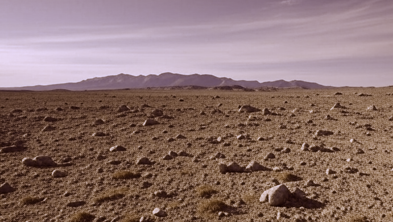 Early Earth -- Grok via Astrobiology.com