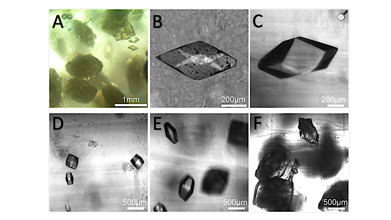 A Crystals in a cuvette with a 60 mg/ml protein concentration. The image was obtained by the camera installed in the bioassembler “Organ.Aut” on the ISS. B, C Typical crystals selected respectively from Earth and space for crystallographic data collection. D–F Crystals obtained in space in the cuvettes with 10, 30, and 60 mg/ml protein concentrations. B–F were obtained on Earth with the Nikon microscope. -- NPJ Microgravity via PubMed