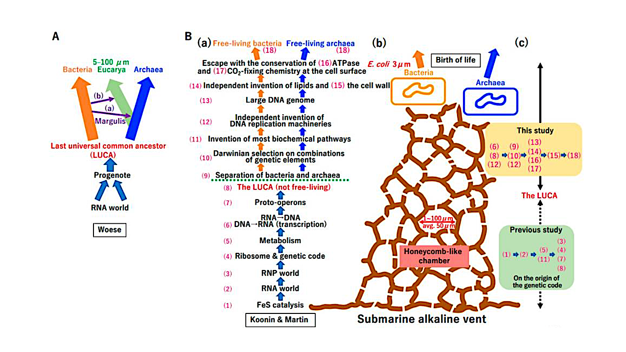 Crystallization of bacteria and archaea.