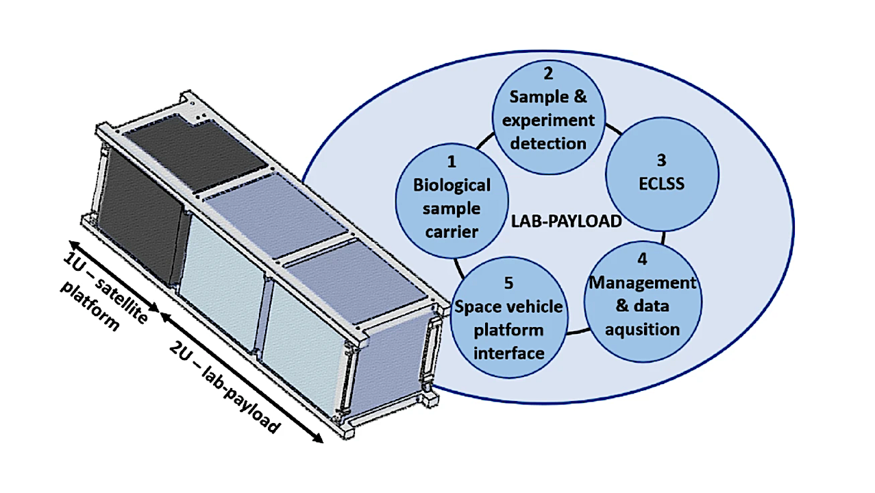 Conception of LabSat bio-nanosatellite with five basic functional blocks of lab-payload to conduct a biological experiment.-- Nature