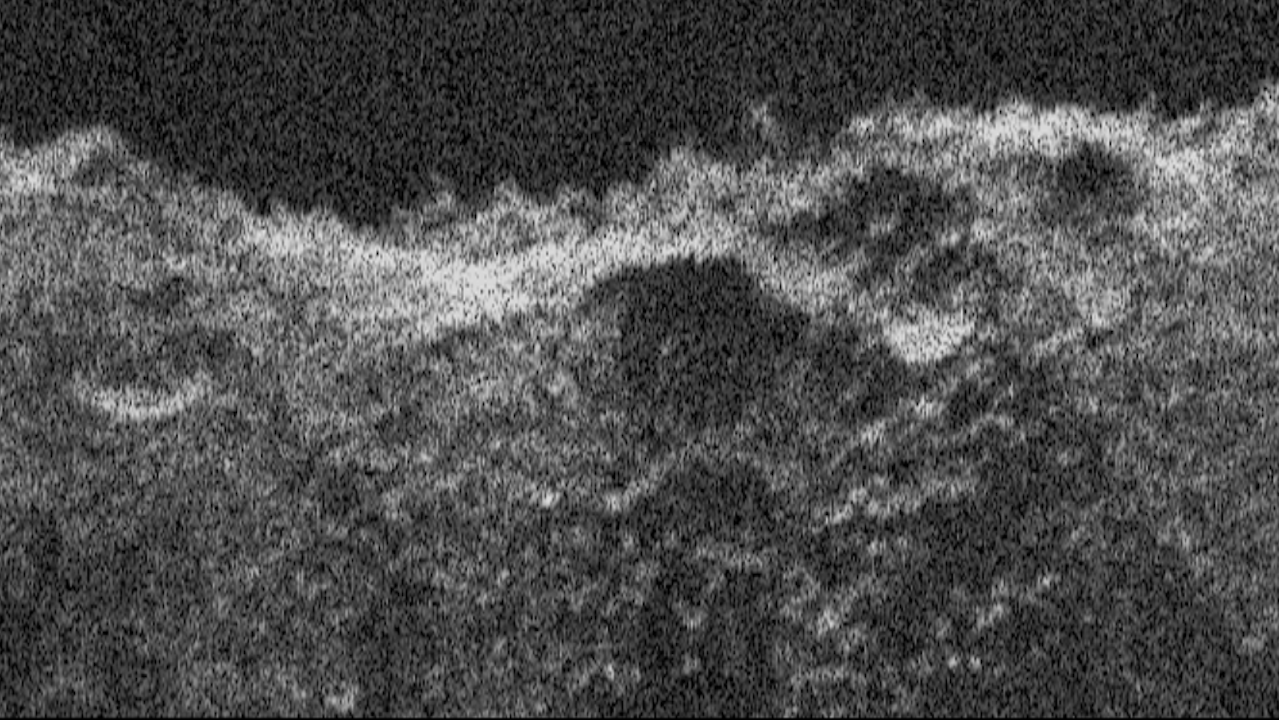 Europa Clipper’s radar instrument received echoes of its very-high-frequency radar signals that bounced off Mars and were processed to develop this radargram. What looks like a skyline is the outline of the topography beneath the spacecraft. Credit: NASA Larger image