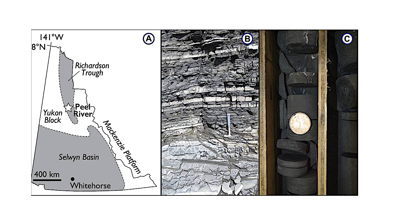 (A) Simplified paleogeography of the area surrounding the Peel River locality. (B) Basinal shales and limestones of the upper Silurian (Pridoli) Vittrekwa Formation, Road River Group, exposed on the Peel River, Yukon. (C) Basinal cherts and siliceous shale of the Middle Devonian Canol Formation, Earn Group, sampled from the RI-07-07A core, Yukon. Loonie for scale. Photo credit to E.A.S. for (B) and (C). -- Science Advances via PubMed