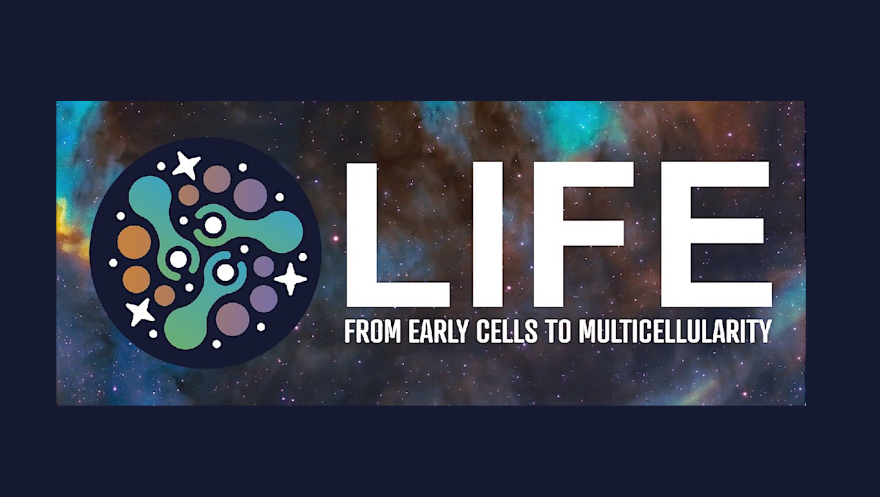 LIFE RCN Workshop