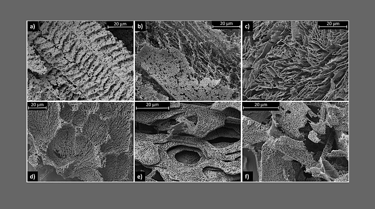 Scanning electron microscopy images showing representative regions of desiccated salt samples. Top row: Flash frozen; bottom row: slow frozen. (a) NaCl flash frozen, (d) NaCl slow frozen; (b) Na2SO4 flash frozen, (e) Na2SO4 slow frozen; (c) Na2CO3 flash frozen, (f) Na2CO3 slow frozen. -- JGR Planets