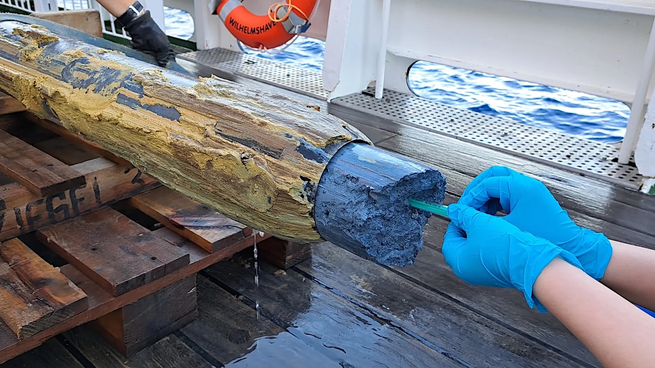 Blue serpentinite mud from a newly discovered mud volcano in a gravity core. The samples have been studied by a team in order to decipher the survival strategies of microorganisms. Photo: SO292/2 Expedition Science Party