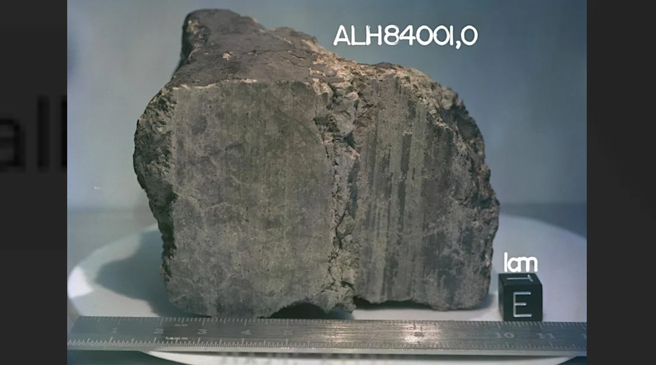 ALH84001 - NASA Astromaterials - NASA.gov