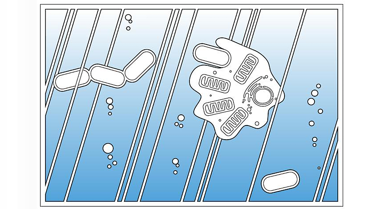 Complex Life Developed Earlier Than Previously Thought