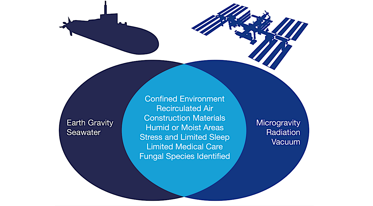 Environmental and operational parallels and differences between submarines and spacecraft relevant to fungal persistence. Submarines operate under Earth’s gravity and are surrounded by seawater, while spacecraft operate under microgravity, are exposed to cosmic radiation, and are surrounded by the vacuum of space. Nevertheless, both vehicles share conditions that promote fungal persistence, including crew confinement, recirculated air, the utilization of materials prone to degradation, humid or moist areas, stress and limited sleep, and limited medical care. The identification of overlapping fungal taxa—including members of Aspergillus, Penicillium, and Fusarium—in both vessels underscores the relevance of submarines as an analog environment for studying fungal risks in spaceflight. -- mBio