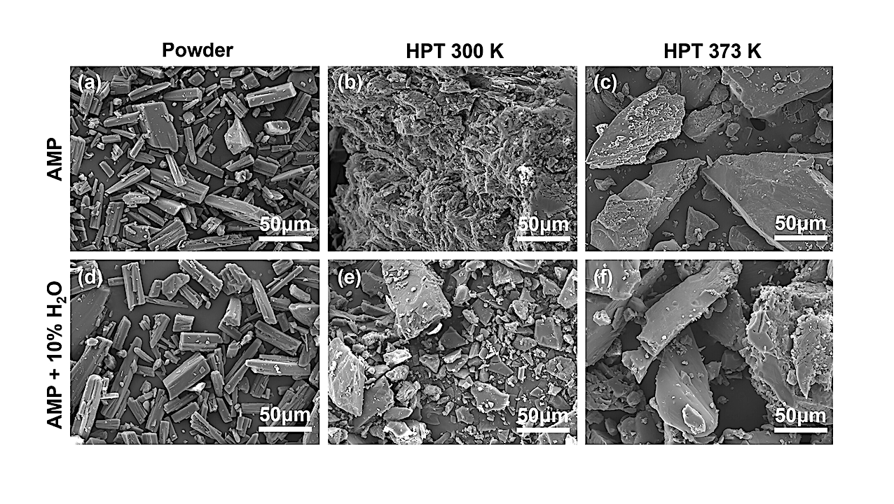 Scanning electron microscopy images of AMP in (a–c) dry condition and (d–f) hydrated condition prior to and following treatment through HPT at ambient and boiling water temperatures. -- Astrobiology via Sage