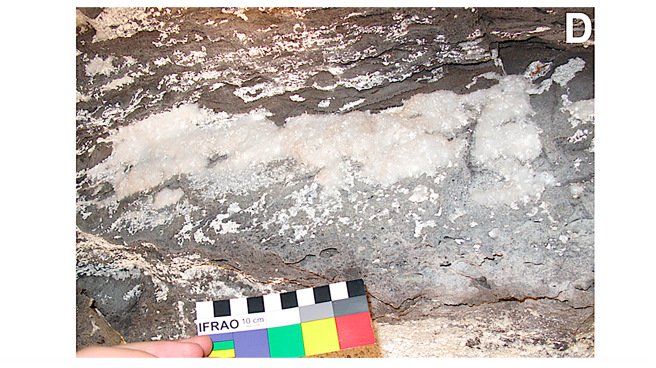 (D) White cotton-like secondary mineral deposits on the wall–ceiling interface (sampling site CLT3, dark zone; scale bar = 10 cm). -- Astrobiology via Sage