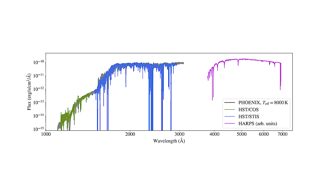 Spectroscopic observations of β Pic obtained on April 29, 2025. The HARPS spectrum is not flux-calibrated and was simply renormalized to a flux level similar to that of the STIS data. Numerous saturated absorption lines are visible in the STIS and HARPS spectra, attributed to Si ii, C i, Al ii, Fe ii, Mg ii and Ca ii. The HST spectra are consistent with a stellar model from the PHOENIX library (thick grey line, Husser et al. 2013) at Teff = 8000 K (see Sect. 4.1). -- astro-ph.EP