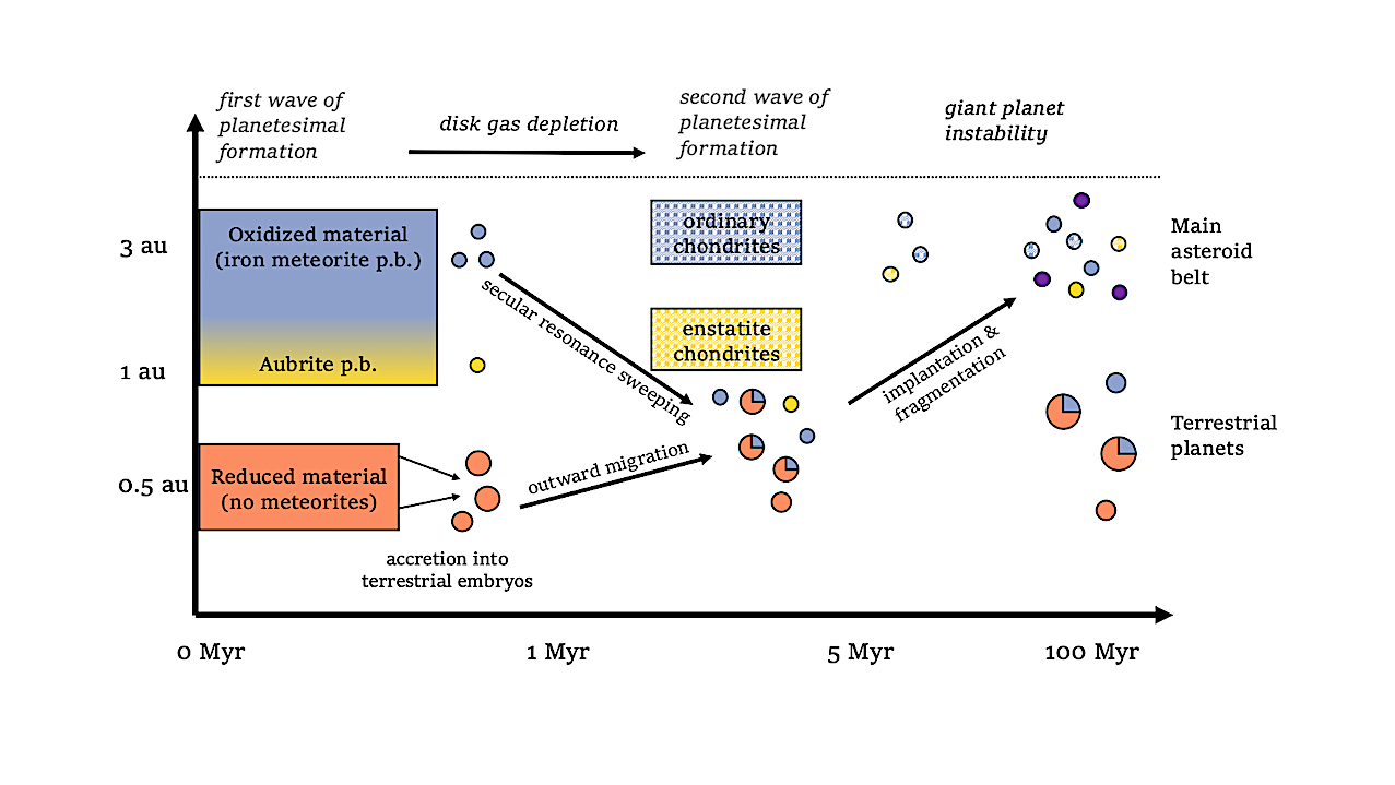 A sketch of the proposed scenario. Oxidized planetesimals decay to near 1 au, accreting onto proto-Earth and proto-Venus as well as forming Mars. Some oxidized planetesimals and aubrite-like planetesimals remain and will be implanted during the giant planet instability into the asteroid belt as the parent bodies of NC iron meteorites and aubrites, where they join the later-formed chondrites (checkered circles) and C-type asteroids (purple circles) delivered from beyond Jupiter. -- astro-ph.EP