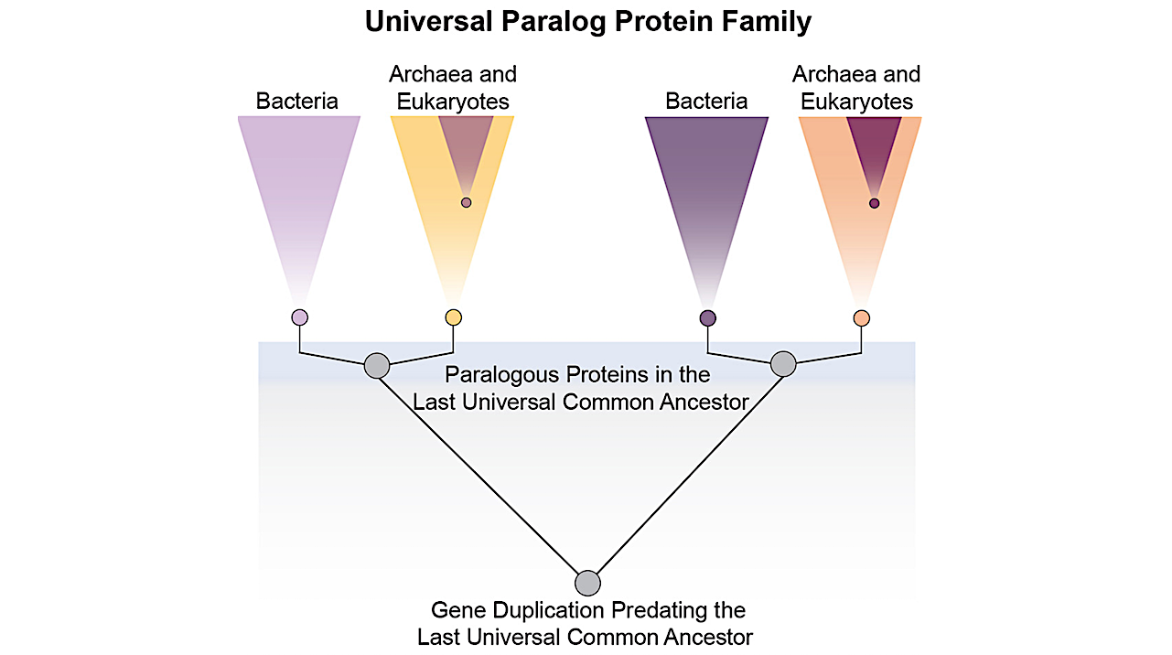 Graphical Abstract - Cell Genomics