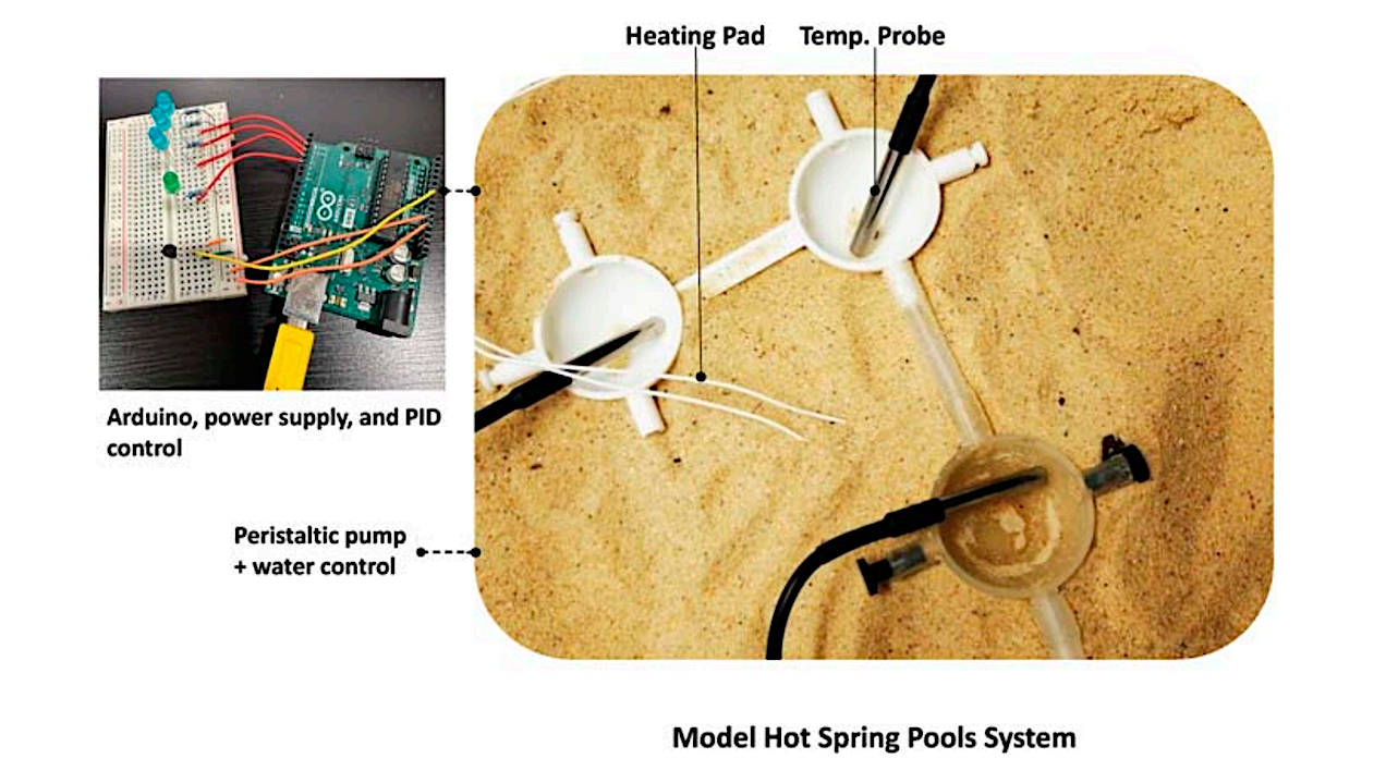 Photograph of the model hot spring pools system showing the assembled pools with temperature probes placed in the cups and heating pads inserted underneath for controlling temperature. Power supply provides electricity for heating pads, and an Arduino Uno is connected via USB-type-C cable to a laptop for PID (Proportional-IntegralDerivative) control. Blue-colored LEDs in the Arduino Uno turn off when the setpoint is reached and back on to maintain the temperature in the rehydration phase of the WD cycles. Water flow control is managed by the mini-peristaltic pumps connected to the water control unit. -- Astrobiology