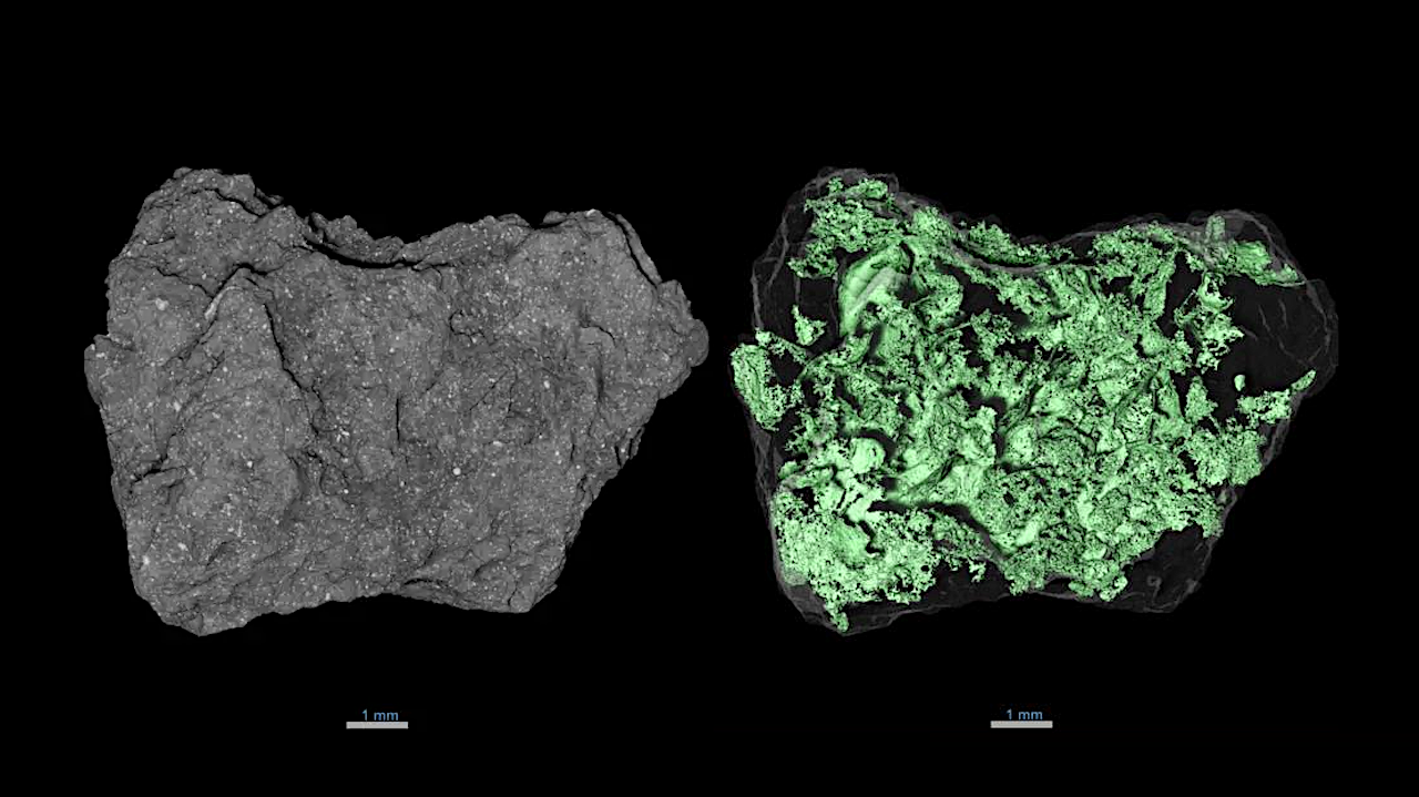 [L] Close-up of a sample particle from asteroid Bennu. Credit NASA/Scott Eckley [R] The same particle analyzed with X-ray computed tomography scanning. This specimen shows the most common types of crack networks observed in Bennu samples. One has an extensive and connect framework of curved cracks, whereas the other has sparse, straight and flat fractures. Credit NASA/Scott Eckley
