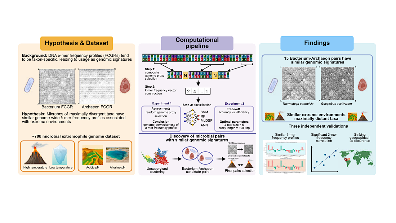 Graphical abstract -- University of Waterloo