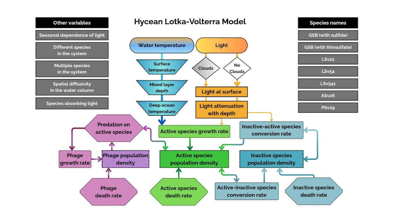 A schematic diagram of the hycean Lotka-Volterra model we implement in this work. The schematic shows how various parameters in our model are connected in a vertical, one-dimensional water column.