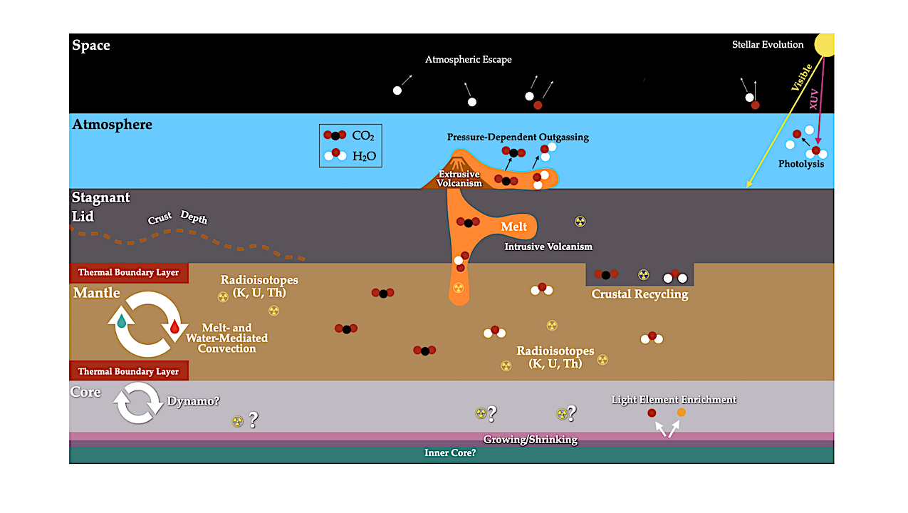 Illustration of the processes implemented in our model