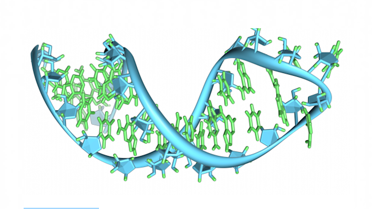 Artist’s impression of RNA. Image credit: Vossman/Wikipedia Commons via NASA