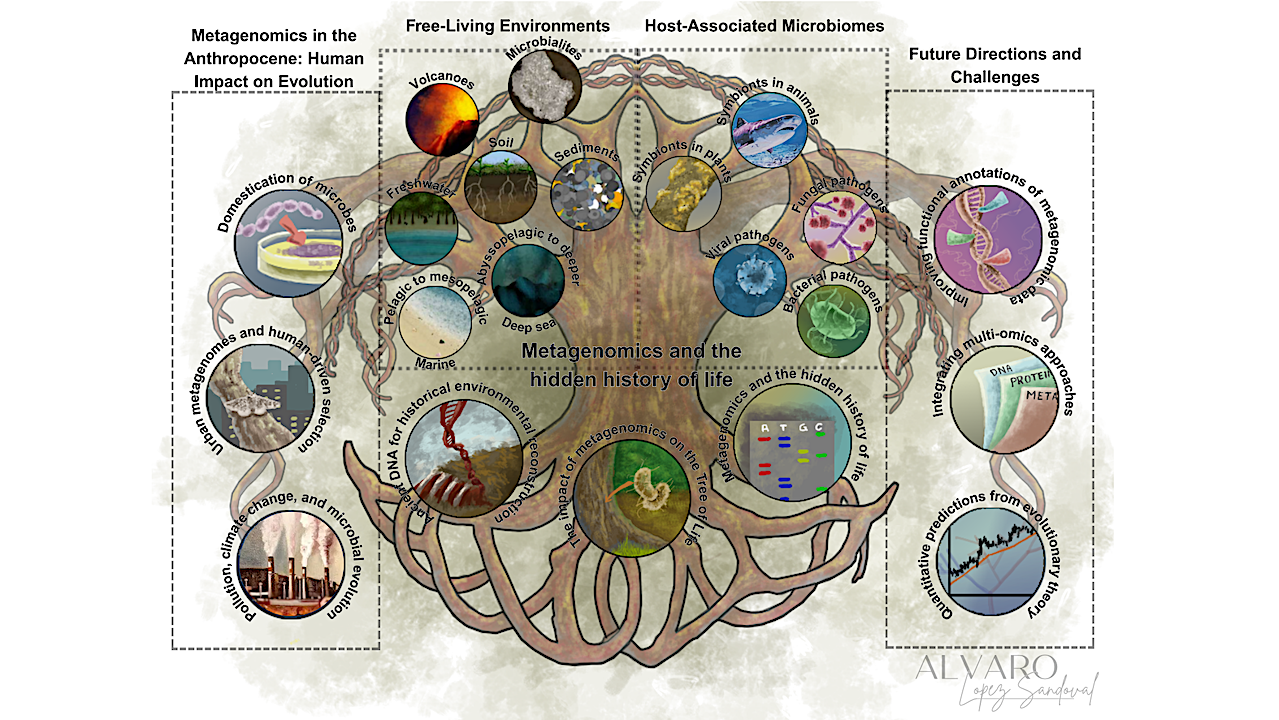 Metagenomics and the hidden history of life.