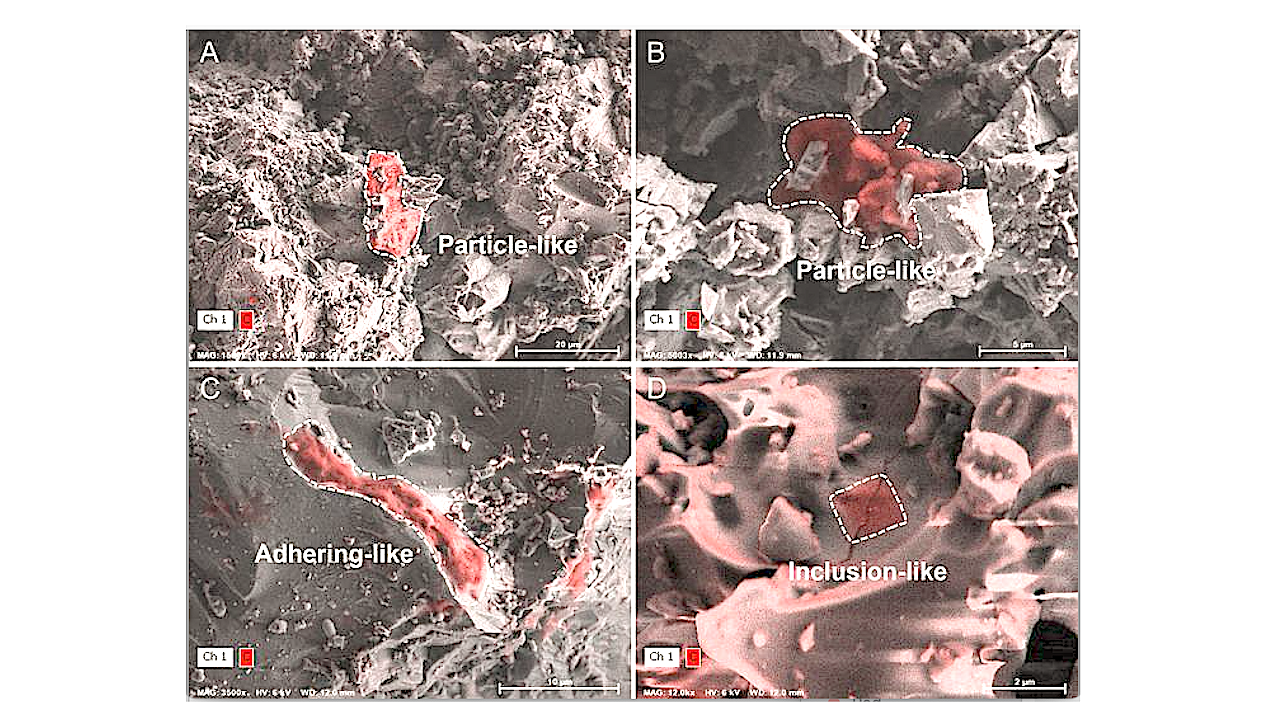 Representative organic matter in Chang'e-6 (A–B) and Chang'e-5 (C–D) lunar soils. Secondary electron images acquired by scanning electron microscopy overlaid with carbon elemental maps from energy-dispersive spectroscopy. Credit Image by HAO Jialong's Group
