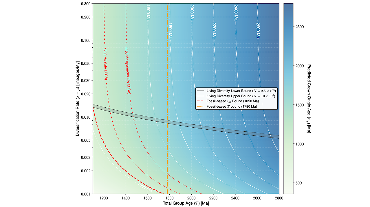 Relationship between total group age T and crown group age tcg across various diversification rates λ − µ, equation 4. The heatmap represents the crown group age for a given rate and total group age (isolines are presented for reference). The orange dot-dashed line is the minimum value for T to fit the observed eukaryotic-grade fossil record of the late Palaeoproterozoic (1780 Ma), the red-dashed isoline is the minimum age for tcg fitting the observed crown-eukaryote fossil record from the end of the Mesoproterozoic (1050 Ma), and the grey interval is the range of possible tcg require to obtain the living diversity for a given rate and total age. The isolines for late LECA (tcg = 1200) or generous late LECA (tcg = 1400 Ma) are the red-dotted lines. -- biorxiv.org