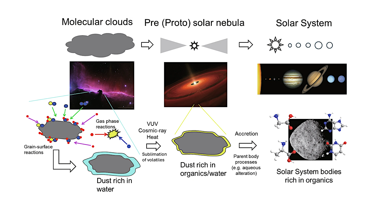 Chemical processes in molecular clouds, such as grain-surface reactions and reactions in the gas phase, yield fundamental molecules, such as water, methanol, and ammonia. After experiencing further processes induced by energetic particles such as vacuum ultraviolet (VUV) photons and cosmic rays in the pre- or protosolar nebula stage, as well as (hydro)thermal events occurring on Solar System bodies after their formation, further complex organic molecules, such as those found in Bennu, Ryugu, and carbonaceous meteorites, may have been synthesized. (Image credit: NAOJ, NASA).